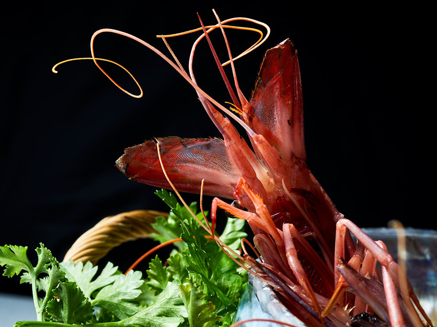 Le Tre Arcate di Russo Alessandro & C. S.A.S.